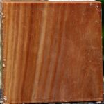 Chinese Elm Bowl Blank