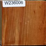 Chinese Elm Bowl Blank