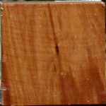 Chinese Elm Bowl Blank