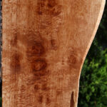 Maple Burl Lumber