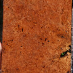 Rustic Maple Burl Lumber