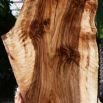 Extra Fancy English Walnut Live Edge Slab (Free Shipping Excluded)