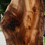 Figured English Walnut Live Edge Slab (Free Shipping Excluded)