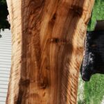 Extra Fancy English Walnut Live Edge Slab (Free Shipping Excluded)