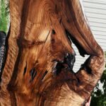 Extra Fancy English Walnut Live Edge Slab (Free Shipping Excluded)