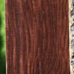 Figured Cocobolo Micro Lumber