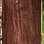 Cocobolo Micro Lumber