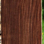 Cocobolo Micro Lumber