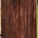 Cocobolo Micro Lumber