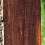 Cocobolo Micro Lumber