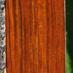 Figured Cocobolo Micro Lumber