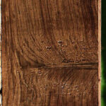 Extra Fancy Panama Rosewood Lumber