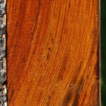 Figured Cocobolo Micro Lumber