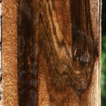 Figured Louro Preto Lumber