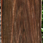 Figured Mun Ebony Lumber