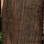 Extra Fancy Mun Ebony Instrument Lumber