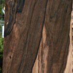 Figured Mun Ebony Instrument Micro Lumber