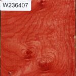 Figured Pepperwood Bowl Blank