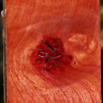 Pepperwood Turning Square