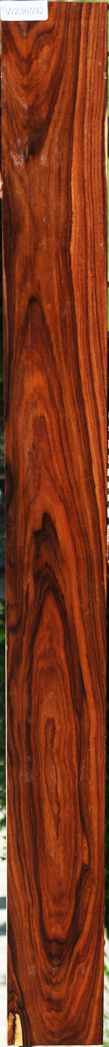 236592_1_3bdc4934-3f0a-4405-bd60-b7ee5cbfc735 Bolivian Rosewood Lumber - Image 1