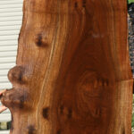 Figured Claro Walnut Live Edge Lumber