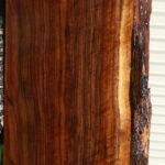 Extra Fancy Claro Walnut Live Edge Mantel