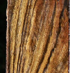 Figured Bocote Lumber