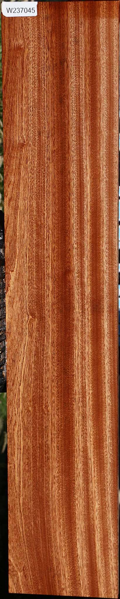 237045_1_b0344371-2256-4cf8-831d-2bf3277ec1bd Sapele Lumber - Image 1