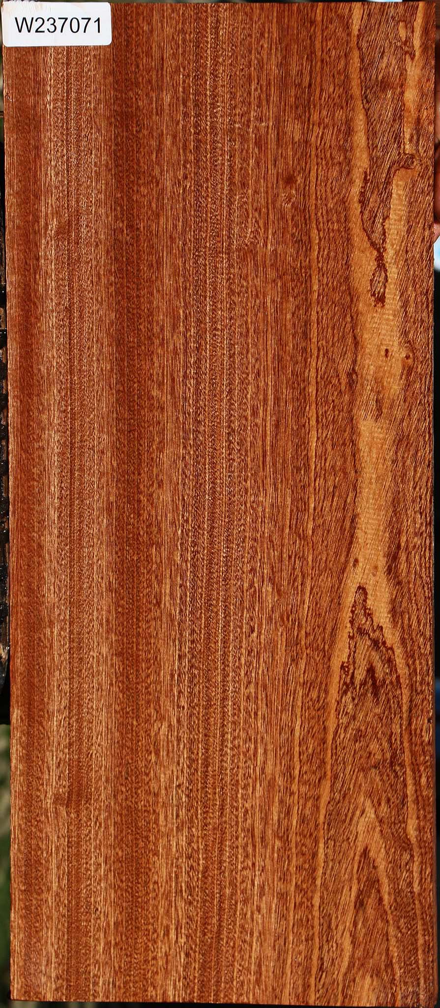 237071_1_da1ad03a-9bb3-4548-93f7-0a5685d8c184 Sapele Lumber - Image 1