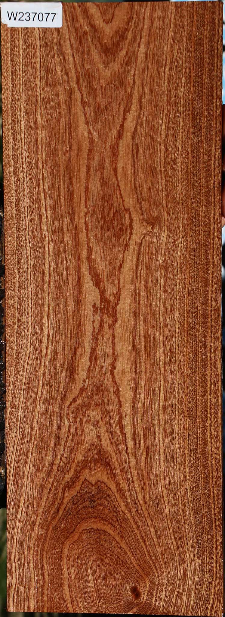 237077_1_073ae237-109b-478b-82cf-4a031722cdbf Sapele Lumber - Image 1