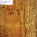 Spalted Tamarind Bowl Blank