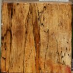 Extra Fancy Spalted Tamarind Bowl Blank