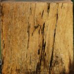 Spalted Tamarind Bowl Blank