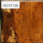 Spalted Tamarind Bowl Blank