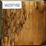 Extra Fancy Spalted Tamarind Bowl Blank