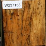 Spalted Tamarind Bowl Blank