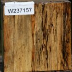 Figured Spalted Tamarind Bowl Blank