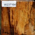 Figured Spalted Tamarind Bowl Blank