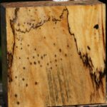 Spalted Tamarind Bowl Blank