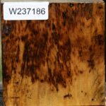 Figured Spalted Tamarind Bowl Blank