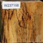 Spalted Tamarind Bowl Blank