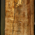 Extra Fancy Spalted Tamarind Peppermill