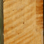 Figured Spalted Tamarind Peppermill