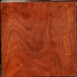 Figured Tzalam Bowl Blank