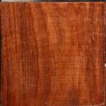 Figured Tzalam Bowl Blank