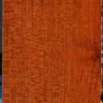 Extra Fancy Leopardwood Lumber