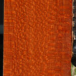 Extra Fancy Leopardwood Lumber