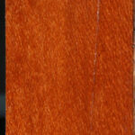 Leopardwood Lumber