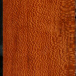 Figured Leopardwood Lumber