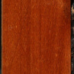 Leopardwood Lumber